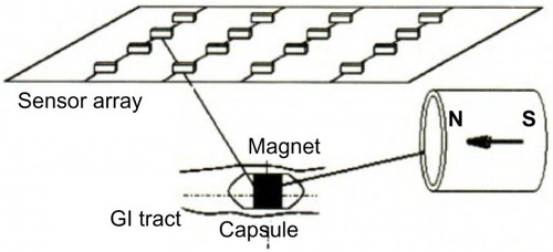 Figure 2 Axially magnetized magnetic sets.
