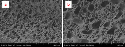 Figure 7. (a, b) SEM micrographs of previously “etched” PLA50-PA50 samples to illustrate the inversion of the phase (PLA pass into PA as matrix).