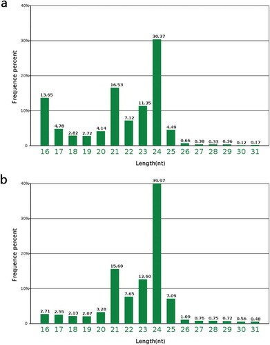 Figure 2. Length distribution of small RNAs in the different libraries. a. PA64-H. b. PA64-L.