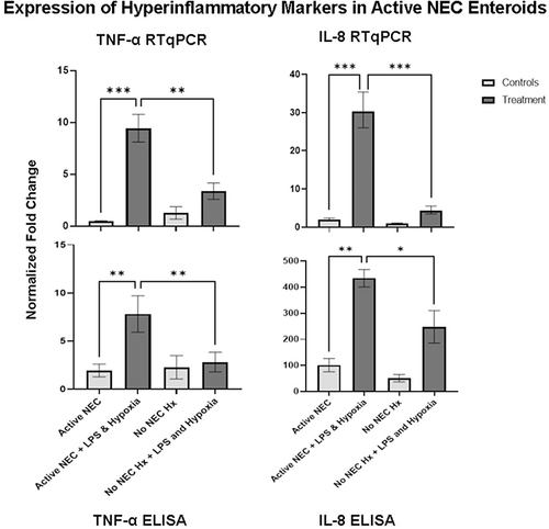Figure 2 Expression of TNF-α and IL-8 in active NEC enteroids and non-NEC enteroids. NEC enteroids that underwent treatment demonstrate elevated levels of both inflammatory markers when compared to untreated NEC enteroids and treated non-NEC enteroids seen on RTqPCR and ELISA. (TNF-α RTqPCR p=0.0003 and p=0.0039 respectively, ELISA p<0.0023 and p=0.0061 respectively) (IL-8 RTqPCR p<0.0001 and p=0.0001 respectively, ELISA p=0.0012 and p=0.0352 respectively). (*Denotes significance, with increasing number of *Denoting increased significance).