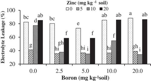 Figure 1. The effects of Zn-Gly application and different soil Boron concentrations on electrolyte leakage in pistachio leaf. *Mean separation by THSD at P ≤ 0.05.