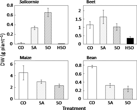 Figure 2 Root dry weight (DW) of each plant species. Values are mean ± standard error (n = 5). CO, control; SA, saline soil; SO, sodic soil; HSO, highly sodic soil.