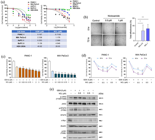 Figure 1. Niclosamide enhances the inhibitory effect of gemcitabine on cell proliferation.