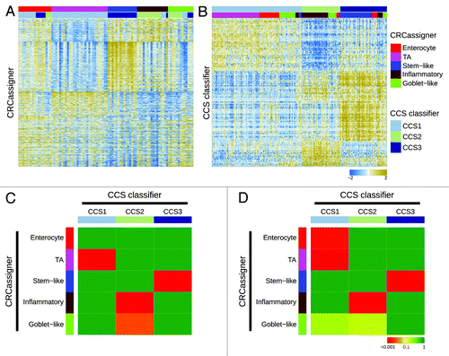 Figure 2. Relationships of colorectal cancer subtype classifications. (A and B) Heatmaps depict the AMC-AJCCII-90 data set classified according to the CRCassigner signature (A) and the Sadanandam et al. core data set classified based on the CCS classification (B). Columns represent patients; rows indicate CRCassigner genes (A) or CCS classifier genes (B). Colors represent relative gene expression levels; blue signifies low expression, and brown high expression. (C and D) Heatmaps indicate association of CRCassigner subtype samples (left) with CCS group samples (top) for the AMC-AJCCII-90 set (C) and the Sadanandam et al. core data set (D). Colors indicate significance of association; green signifies a low association, and red a high association. P values are determined using hypergeometric tests.