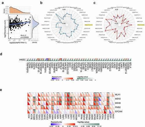 Figure 6. LINC01296 is associated with the HNSCC immunophenotype