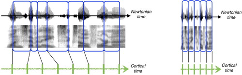 Figure 4. Newtonian time and cortical time, illustrated at the syllable level for normal rate (left) and fast speech (right). In both speeds, decoding proceeds uniformly in cortical time and syllable objects are transmitted one per theta CTU tick. In normal rate (left), the theta tracking is successful ⇒ a syllable chunk associated with a theta CTU is aligned with a syllabic unit. However, when the input rate is too fast (right, speech is time-compressed by 3) theta is “stuck” at upper frequency range ⇒ loss of tracking ⇒ acoustic chunks associated with the theta CTUs are no longer aligned with syllabic units.