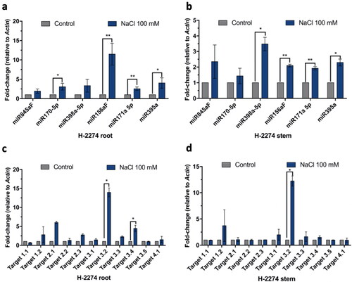 Figure 2. Graphical representation of the changes in the expression levels of selected miRNAs and their targets in H-2274 tomato plants exposed to salt stress. Expression profiles of miRNAs in root tissue (A) and stem tissue (B); and expression profiles of miRNA targets in root tissue (C) and stem tissue (D).