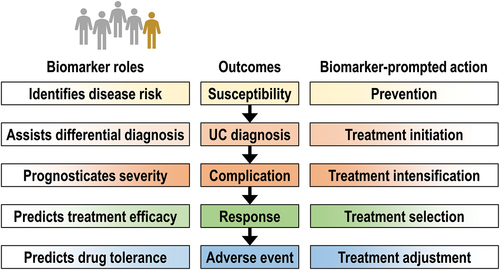 Figure 1. Biomarkers may support patient management throughout the disease course, from primary ulcerative colitis prevention to minimization of adverse event risk. The optimal selection of accurate biomarkers is the foundation of personalized medicine.