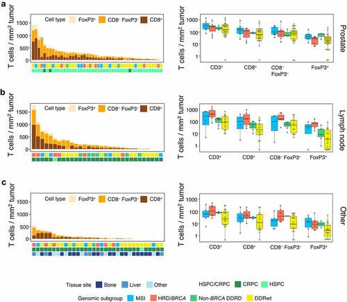 Figure 3. Intratumoral TIL density per tissue site. Intratumoral TIL densities in prostate tissue (a), lymph node metastases (b) and other tissue sites (c) are displayed. The stacked bar plot at the left shows the absolute T cell densities per sample, subdivided into CD8+, CD3+CD8−FoxP3− and FoxP3+ cells. Samples are ordered based on total CD3+ T cell density. The bars below provide information on genomics subgroup, androgen sensitivity and tissue site. At the right, T cell densities per genomic subgroup as displayed in boxplots. In some patients, no T cells were present. To enable visualization of cell densities on a log scale, the T cell densities of these patients was replaced by 0.5 cells/mm2 (~lowest value in the plots).