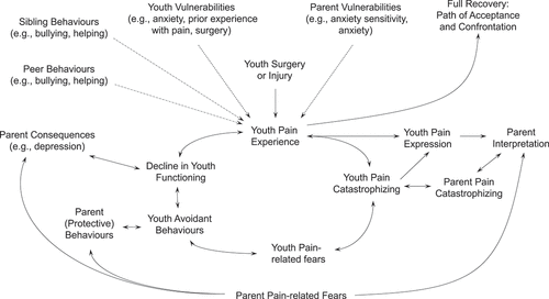 Figure 1. Combined pediatric diathesis-stress and interpersonal fear avoidance model of the transition from acute to chronic pain. In this model, the youth (and parents), who have certain diatheses, are exposed to a painful event (i.e., surgery) and take either a path of confrontation and acceptance of their pain (top right) or a path in which the pain is threatening and ultimately leading to disability (cycle below). In the path to pain disability, youth experience internal (i.e., pain catastrophizing, pain-related fears) and external influences (i.e., parents’ interpretations of their child’s pain expression, parent pain catastrophizing, parent protective behaviors, parent consequences) that contribute to avoidant behaviors and disability. The role of peer and sibling relationships and behaviors has not been empirically assessed as they relate to the development of CPSP in youth, but this is a fruitful avenue to explore.