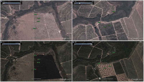 Figure 3. Land-use evolution on the Monte Alegre (left) and Santa Maria da Fábrica (right) farms at 25 July 2011 (top) and 12 October 2013 (bottom).