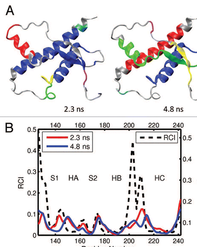 Figure 10 (A) Dynamical domains for chicken prion protein (cPrP) identified from a MD trajectory at times indicated by the subscripts. The meaning of colors is as in Figure 3. (B) Flexibility profiles at times indicated in the legend box. The dashed curve shows the experimental RCI profile from 2(h). Further examples for chicken prion protein can be found in Figures S15 and S16.