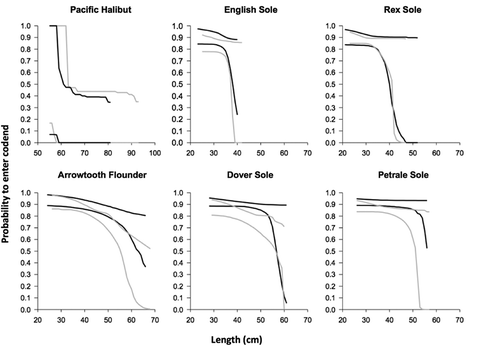 FIGURE 5. Comparison of the 95% confidence interval limits for the size-selection curves quantifying a fish’s probability of entering the cod end of a trawl equipped with one of two bycatch reduction devices (BRD-1 and BRD-2), as estimated for six flatfishes (length = cm TL). Solid black lines represent BRD-1 (6.4- × 25.4-cm grid size); solid gray lines represent BRD-2 (6.4- × 30.5-cm grid size).
