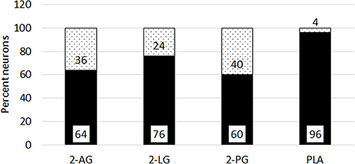 Figure 8 Proportion of neurons with delayed responses. Graph showing percentage capsaicin sensitive neurons with delayed responses (black bars), and not delayed responses (grey bars), in the presence of individual 2-AG (N=11, 712 neurons), 2-LG (N=17, 688 neurons), and 2-PG (N=9, 561 neurons). Combined PLA (N=7, 178 neurons) showed the maximum proportion of neurons with delayed responses.
