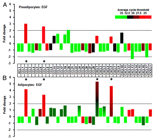 Figure 3. EGF-responsive chemokines in preadipocytes and adipocytes. (A) In preadipocytes, EGF significantly increases CCL2 and CCL7. (B) In adipocytes, EGF resulted in significant increase in not only CCL2 and CCL7 but CXCL1 and CXCL5. Cells were treated with EGF (10 ng/ml) for 1 h. After isolating total RNA from preadipocytes and adipocytes, a chemokine PCR array was performed. Different colors indicate the average cycle threshold with expression ranges from >35 to <25. Chemokines with a >2-fold increase (*) were recognized as the major effects of EGF by excluding lowly expressed chemokines with >30 cycle threshold.