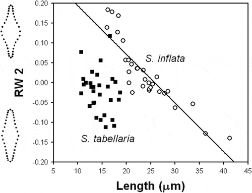 Fig. 63. Plot of the second relative warp (RW2) against valve length for S. inflata and S. tabellaria. Regression line represents ontogenetic-allometric trend in S. inflata population. Illustrations outside the plot represent extremes of the warp.
