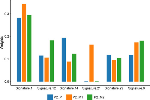 Figure 6 Mutation signature of patient no.2. The color bars below the graph indicate different tumor samples. Blue bar represents primary tumor of patient no.2 (P2_P). Orange bar represents renal metastasis of patient no.2 (P2_M1). Green bar represents iliac fossa metastasis of patient no.2 (P2_M2).