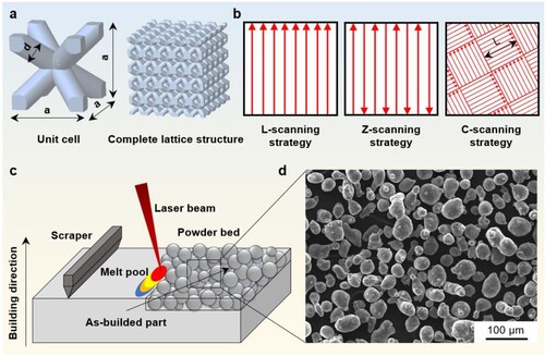 Figure 2. (a) Geometrical parameters of the unit cell and complete lattice structure model of the test sample, (b) scanning strategies, (c) diagram of laser powder bed fusion (LPBF) process and (d) morphologies of the AlSi10Mg powder.