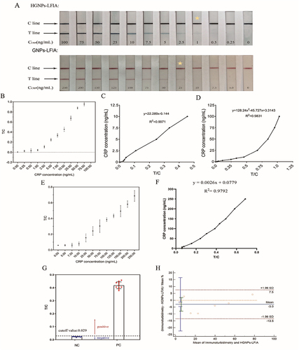 Figure 3 (A) Representative photographs are taken from the LFIA of CRP standards. The asterisks indicate detection limits by the naked eye. (B) Calibration curves of the HGNPs-LFIA strips for different concentrations of CRP. Fit curve of HGNPs-LFIA, 1–10ng(C), 1–100ng(D). (E) Calibration curves of the GNPs-LFIA. (F)Fit curve of GNPs-LFIA. (G) Determination of the cutoff value of HGNPs-LFIA for serum CRP detection through mean test value of NC+3 standard deviation (SD). (H) A Bland-Altman methods analysis between HGNPs-LFIA and immunoturbidimetry methods in the detection of serum CRP for Seven clinical samples at different concentrations (95% confidence intervals).