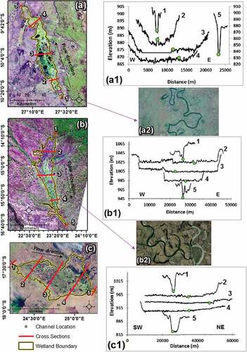 Figure 2. LandsatLook images of (a) the Lufira wetland on 5 November 2014, (b) the Barotse wetland on 28 April 2015 and (c) the Upper Zambezi wetland on 17&24 October 2013. Graphs (a1), (b1) and (c1) show valley cross sectional profiles of lines 1 to 5 in (a), (b) and (c) respectively with cross sectional profile 5 in (a1) plotted against the secondary axis. Google Earth imagery (a2) and (b2) are enlarged areas in (a) and (b) respectively (Source: Google Earth’s DigitalGlobe and CNES/Airbus).