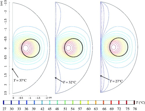 Figure 12. The effect of the cold circulating water at the urethral surface on the temperature contours in the prostate.