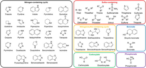 Figure 2. The chemical structures of the chemical moieties incorporated in MBLIs.