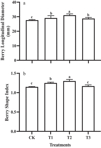 Figure 1. Berry longitudinal diameter (a) and shape index (b) of ‘Shine Muscat’ fruit subjected to different GA3 treatments. Different lower-case letters indicate significant differences among treatments (n= 3, Duncan’s test, p<.05).