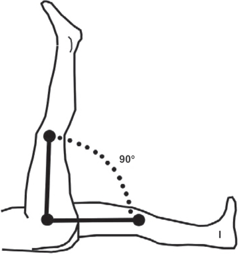 Figure 2 Range of motion in terms of active flexion of hip: knee extension.