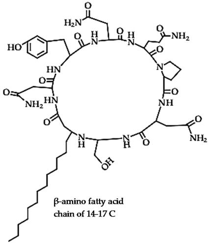 Figure 4. Illustration of the bacillomycin lipopeptide structure (bacillomycin-L).