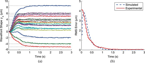 Figure 10 Experimental tracking of the static reference shape using the decentralized PID controller. (Figure is provided in color online.).