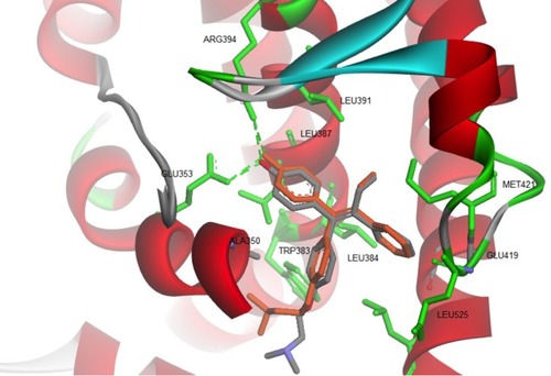 Figure 3 Re-docking of co-crystallized 4-OHT into the ligand-binding site of hERα using AutoDock 4.2 (crystal and docking poses are colored in grey and orange, respectively).