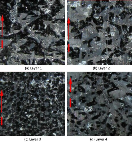 Figure 4. Stereological photographs of snow samples on February 22: (a) Layer 1 (depth hoar), (b) Layer 2 (facets), (c) Layer 3 (facets/round mix), (d) Layer 4 (facets/round mix). The vertical bar is a 1-mm ruler. The arrow indicates the upward direction in the snowpit.