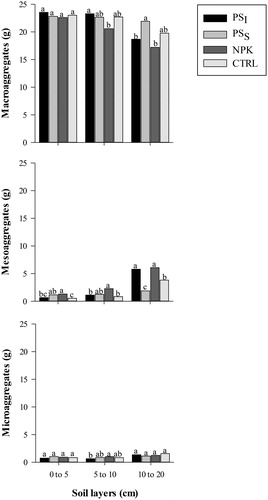 Figure 2. Distribution of aggregate classes in different soil layers of areas fertilized with pig slurry and mineral fertilizer. PSI = Pig slurry injected into the soil subsurface; PSS = pig slurry applied to the soil surface; NPK = Chemical fertilization; CTRL = control (without fertilization). Bars with the same letter in each soil layer are similar by the Tukey's test at 5% probability.