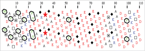 Figure 3. HCA plot of human prothymosin α (UniProt ID: P06454). Hydrophobic amino acids (V, I, L, F, M, Y, W) are shown in green and are encircled and their contours are joined forming clusters. Clusters mainly correspond to regular secondary structures (α-helices and β-strands). The shape of the clusters is often typical of the associated secondary structures. Hence, horizontal and vertical clusters are mainly associated with α-helices and β-strands, respectively. A dictionary of hydrophobic clusters, gathering the main structural features of the most frequent hydrophobic clusters has been published helping the interpretation of HCA plots.Citation175 Sequence segments separating hydrophobic clusters (at least 4 non hydrophobic amino acids) mainly correspond to loops or linker (LNK) regions between globular domains. Long regions devoid of clusters correspond to disordered regions and small clusters within disordered regions correspond to putative MoRFs. Coiled-coil regions have a peculiar and easily recognizable appearance in the form of long horizontal clusters. Symbols are used to represent amino acids with peculiar structural properties (stars for prolines, black diamonds for glycines, squares and dotted squares for threonines and serines, respectively). Basic and acidic residues are shown in blue and red, respectively.