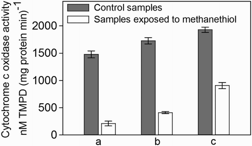 Figure 6. Cytochrome c oxidase activity in cell-free extract of SOB obtained from: (a) a lab-scale sulphide-oxidizing bioreactor that had not yet been exposed to methanethiol but the cell-free extract was spiked with methanethiol to a final concentration of 0.05 mM. (b) A lab-scale sulphide-oxidizing bioreactor exposed to methanethiol for three days (0.37 mM d−1). (c) Batch bottles in which cells were exposed to 0.2 mM of methanethiol for 18 h. For each category, a control sample was analysed that was not exposed to methanethiol.