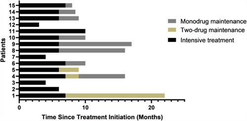 Figure 4 Durations of intensive EPI-TMZ treatment (mean: 6.1 months) and maintenance treatment (mean: 4.1 months) in each of the 15 patients. Drug regimens are described in the Methods and Results.