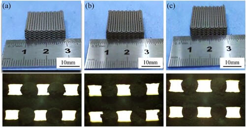 Figure 7. Effect of the layer height on the scaffold processing. (a) Layer height is 0.56 mm, (b) Layer height is 0.58 mm, (c) Layer height is 0.60 mm.