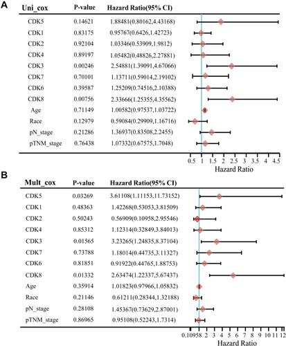 Figure 4 Univariate and multivariate analysis of clinical characteristics and risk scores of DFS patients. CDKs expression and other clinicopathologic factors with DFS in CRC were calculated via univariate (A) and multivariate (B) regression analysis. Three genes were obtained with p-value < 0.2.