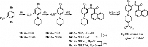 Scheme 1.  Reagents and conditions: (i) (a) N-Boc-piperazine (b) or N-benzylpiperazine, i-PrOH, reflux, 24 h; (ii) Zn powder, 1 M KH2PO4/THF, reflux, 24 h; (iii) 1-naphthoyl chloride, CH2Cl2, TEA, rt, 4 h; (iv) HCO2NH4, 10 wt% Pd/C, CH3OH, reflux, 6 h; (v) TFA, CH2Cl2, rt, 12 h; (vi) R2COCl, CH2Cl2, Et3N; (vii) R2CO2H, DCC, HOBt, DMAP, rt, 2 h.