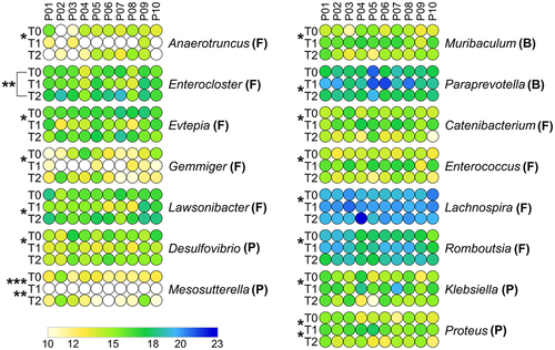 Figure 4. Differential microbial genera. Peptide abundances were normalized based on the total abundance of microbial peptides in each sample, log-transformed and expressed as a color gradient (see legend in the figure bottom). The relative abundance of each genus was calculated as the sum of the abundances of all peptides assigned taxonomically to that genus by Unipept. Values measured for each of the 10 patients (P01-P10) in the three timepoints analyzed (T0, T1, T2) are shown. The initial of the phylum to which each genus belongs is given in parentheses (B, Bacteroidetes; F, Firmicutes; P, Proteobacteria). Statistically significant differences between timepoints are marked by asterisk(s) placed between the timepoints under comparison (* = p < .05; ** = p < .01; *** = p < .001; paired t test). Genera with significantly lower abundance in T1 compared to T0 and/or T2 are on the left; genera with significantly higher abundance in T1 compared to T0 and/or T2 are on the right. In both cases, genera are ordered based on the phylum to which they belong and then in alphabetical order. Differential genera associated with less than 3 unique peptides are not shown.