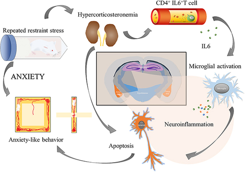 Figure 11 The hypothesis of Wendan Decoction treating Generalized Anxiety Disorder.