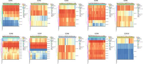 Figure 8 The heat map of DNA methylation clustered expression level of CC chemokine receptor genes (MethSurv).
