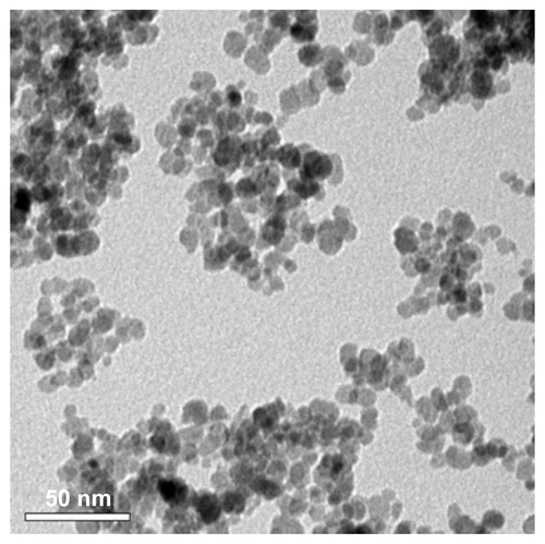 Figure S1 Transmission electron microscopy image of ceric ammonium nitrate (CAN)-Magh nanoparticles (NPs).