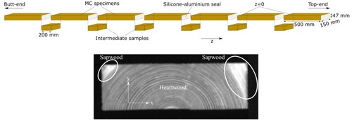 Figure 2. Preparation of specimens for the experiments (top) and tomogram of specimen A3 at z = 150 mm (bottom).