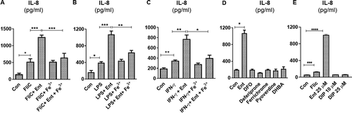 Figure 3. Ent triggers inflammatory signals in human intestinal epithelia in the presence of IL-8 inducers. HT29 monolayers were pre-incubated with either (a) FliC (100 ng/ml, 1 h), (b) LPS (1 µg/ml, 1 h) or (c) IFN-γ (100 IU, 1 h) and treated with Ent (25 µM), FeCl3 (Fe3+) or Ent with an equimolar concentration of FeCl3 for 24 h in serum-free media supplemented with 1% penicillin-streptomycin and supernatants were assayed for IL-8 via ELISA. DMSO served as control. (d) HT29 cells were stimulated overnight with 25 µM of either Ent, DFO, deferiprone, ferrichrome, pyoverdine or DHBA in serum-free media supplemented with 1% penicillin-streptomycin and assayed for IL-8. (e) HT29 cells were stimulated overnight with either Ent (25 µM), FliC (100 ng/ml) or 2,2 dipyridyl (DIP, 0–25 µM) in serum-free media supplemented with 1% penicillin-streptomycin. After stimulation, culture medium was collected, assayed for IL-8. Con denotes cells treated with DMSO as vehicle control. In vitro assays were performed in triplicates and data represented as mean ± SEM. * p < .05, **p < .01, *** p < .001, and **** p < .0001