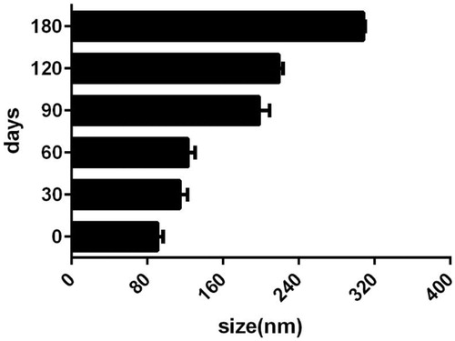 Figure 6. The average hydrodynamic diameter of PCL–PEG–PCL copolymer.