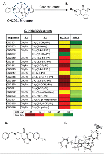 Figure 1. Exploration of chemical derivatives of ONC201. (A) Structure of ONC201. (B) Core pharmacophore of ONC201 used for exploration of chemical derivatives. (C) ONC201 analogs including ONC identifier, R1 and R2 groups, and GI50 in HCT116 cells. N = 3; GI50 collected after 72 hours and calculated by PRISM. (D) Chemical structure and (E) ORTEP drawing of ONC212 crystals from X-ray data. X-ray crystallography was determined as described in methods.