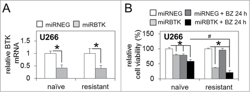 Figure 4. BTK inhibition via lenti-viral miRNA targeting enhances sensitivity to bortezomib in bortezomib-naïve and bortezomib-resistant MM cells. (A) qRT-PCR analysis of basal BTK mRNA expression in bortezomib-naïve and bortezomib-resistant MM U266 cells infected with lenti-viral miRNA constructs targeting BTK (miRBTK) transcription relative to GAPDH. (B) Relative cell viability of bortezomib-naïve and bortezomib-resistant MM U266 cells infected with lenti-viral miRBTK before and after bortezomib treatment (5 nM/24 h). Values indicate the mean ± SEM from 3 independent experiments. Statistical significance between treatments was calculated by Student's t test; * indicates P ≤ 0.05. Statistical significance between cohorts was calculated by ANOVA; # indicates p ≤ 0.01.
