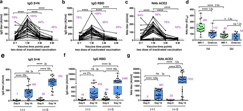 Figure 1. Antibody response after two-dose of inactivated vaccination and booster vaccination with RBD subunit or inactivated vaccination. (a) Total anti-S + N antibody titre of two doses of inactivated vaccines, n = 33 at D7, D14, 1, 3 M, n = 21 at 6 M. (b) Total anti-RBD antibody titre of two doses of inactivated vaccines, n = 33 at D7, D14, 1M, 3M, n = 21 at 6M. (c) Neutralizing antibody titre based on ACE2 competition assay of two doses of inactivated vaccines, n = 33 at D7, D14, 1M, 3M, n = 21 at 6M. (d) Neutralizing antibody titres against Wuhan-1 and Omicron strains for two doses of inactivated vaccines, n = 20 for Wuhan-1 and Omicron at 1M, n = 14 for Wuhan-1 and Omicron at 3M. (e) Comparison of total anti-S + N antibody titer between I-I-I and I-I-S, n = 28 in I-I-I, n = 27 in I-I-S. (f) Antibody response in booster groups evaluated by anti-RBD IgG, n = 28 in I-I-I, n = 27 in I-I-S. (g) Antibody response in booster groups evaluated by Neutralizing antibody titre based on ACE2 competition assay, n = 28 in I-I-I, n = 27 in I-I-S. ns, not significant; *P < 0.05, **P < 0.01, ****P < 0.0001.