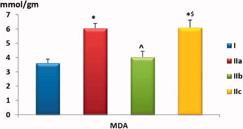 Chart 6. Comparison of muscle homogenate MDA level among the study groups. Values are presented as mean ± SD. Statistically significant (p < .05) as compared to the corresponding value in *group I, ^group IIa and $group IIb.